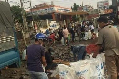Xe tải chở cá lật, người dân nhanh chóng phụ giúp tài xế thu gom cá