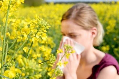 Chuyên gia chỉ cách ứng phó với dị ứng phấn hoa