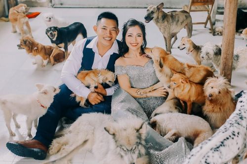 Cặp vợ chồng ở TP.HCM chụp ảnh cưới với hơn 300 thú cưng