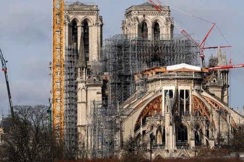 Tái thiết Nhà thờ Đức Bà Paris: Đổ bê tông hay đốn 2.000 cây sồi?