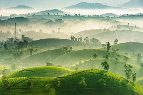 Liên kết vùng hiệu quả sẽ đưa Trung du, miền núi phía Bắc 'cất cánh'