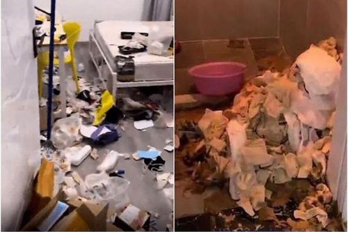Mở cửa phòng trọ gái xinh, chủ nhà 'đứng hình' với thứ trước mắt