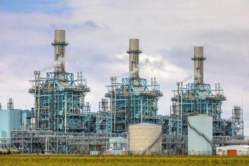 'Miếng bọt biển' thu CO2