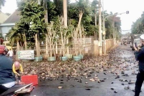 Đồng Nai: Hàng chục người dân xắn tay áo 'bắt cá giữa đường' giúp tài xế xe tai nạn