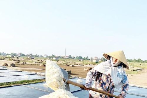 Tự ý rút hơn nửa tỷ tiền hỗ trợ diêm dân để chi tiêu