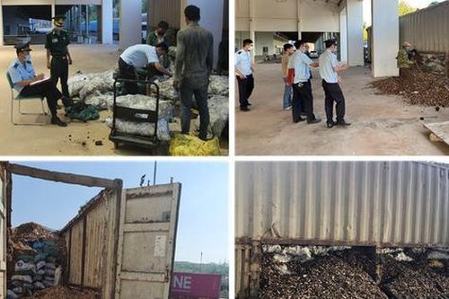 Độn hơn 24 tấn than lậu trong xe chở dăm gỗ xuất khẩu sang Lào