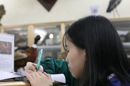 Trường Nguyễn Tất Thành không tuyển thẳng thí sinh có chứng chỉ ngoại ngữ