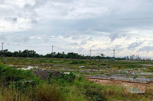 Đang bị điều tra lừa đảo, ngân hàng hủy bảo lãnh tại dự án King Bay