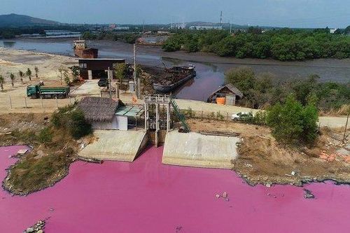 Đầm nước đổi màu ở Bà Rịa – Vũng Tàu: Đề xuất phát triển du lịch