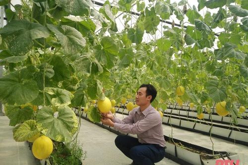 Vốn tín dụng góp phần xây dựng nông thôn mới