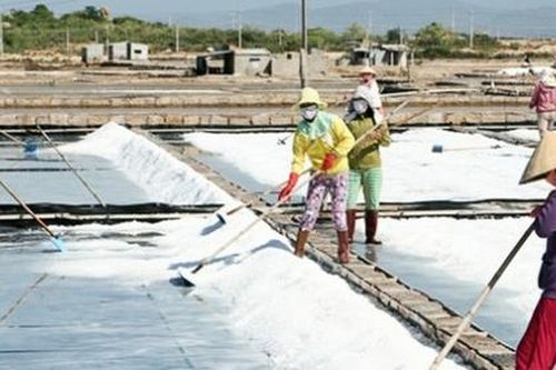 Nghệ An: HTX tự ý rút hơn nửa tỷ tiền hỗ trợ diêm dân để chi tiêu