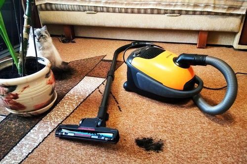 12 món đồ khiến nhà bạn đầy bụi