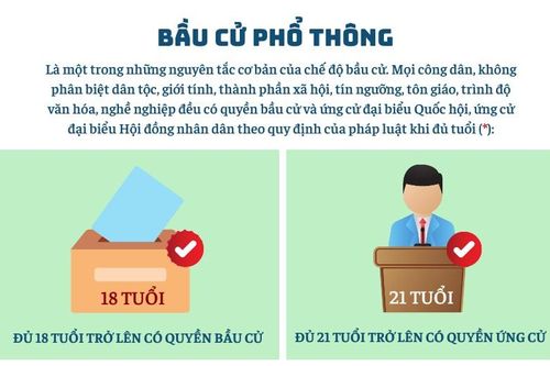 Thế nào là nguyên tắc phổ thông trong bầu cử?