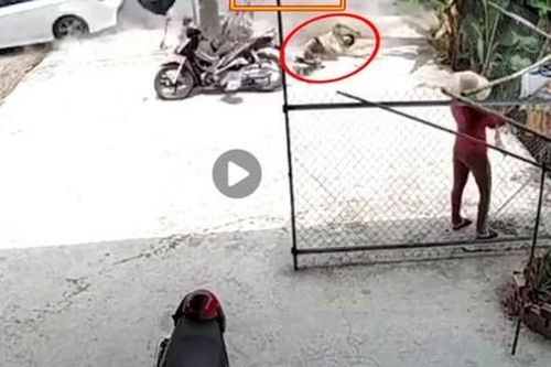 Đi sát vào lề đường, 2 bố con vẫn bị ô tô húc văng, biết được nguyên nhân ai nấy đều phẫn nộ
