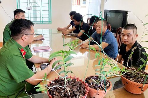 Cuộc 'săn tìm' cơ hội đổi đời mù quáng bằng kinh doanh... 'đột biến'