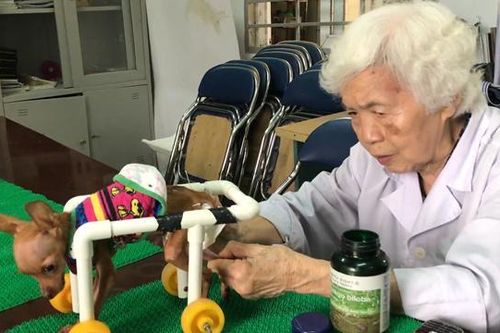 PGS.TS Phạm Thị Xuân Vân: Gần 90 năm tâm huyết với 'Phòng khám thú y cộng đồng'