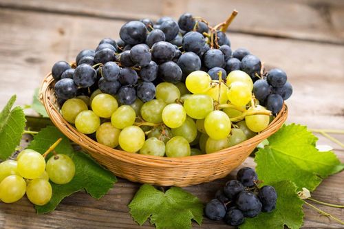 Lợi ích của nho đối với sức khỏe