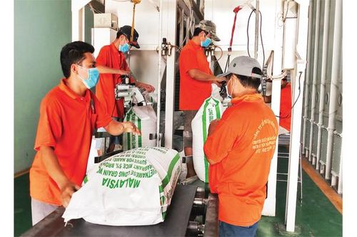 Chuyển đổi số ở doanh nghiệp sản xuất nhỏ