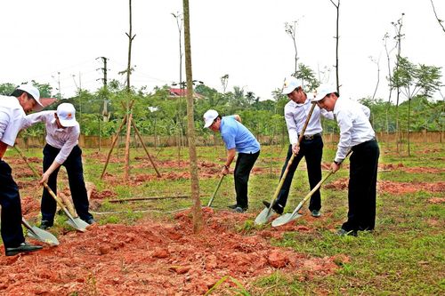 Vĩnh Phúc: Thêm 13.000 cây xanh tại các cơ sở ngành Giáo dục