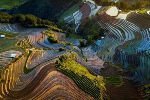 Mù Cang Chải: Phong phú các hoạt động du lịch mùa nước đổ năm 2021