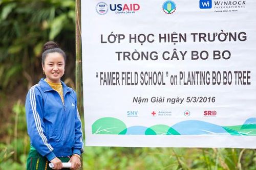 Mỹ tài trợ hơn 30 triệu USD để Việt Nam trồng rừng