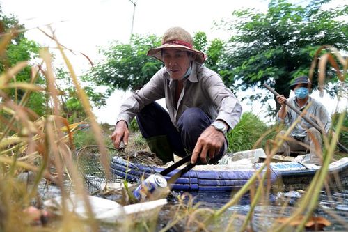 Ông lão gần 4 năm miệt mài vớt rác, làm sạch dòng kênh đen giữa lòng TP Hồ Chí Minh