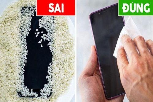 Vì sao không nên cho điện thoại vào thùng gạo sau khi bị rơi xuống nước?