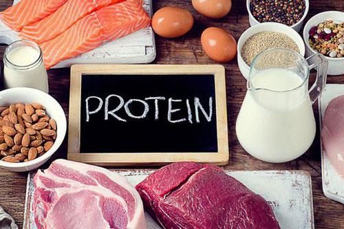 Cơ thể cần bao nhiêu chất đạm mỗi ngày?