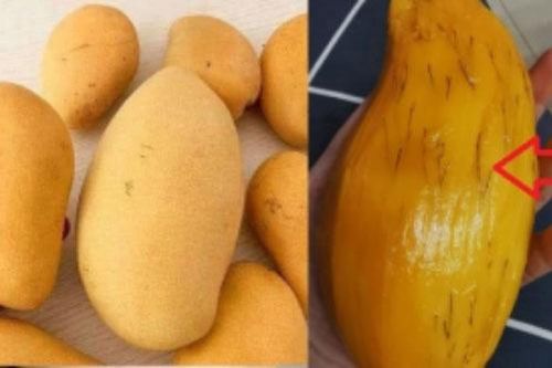 Xoài nổi chỉ đen có ăn được không? Cảnh báo 2 loại xoài rẻ như cho cũng không được mua