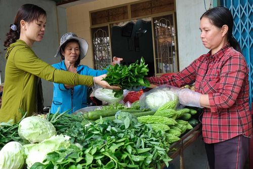 'Nói không với rau 2 luống, heo 2 chuồng'