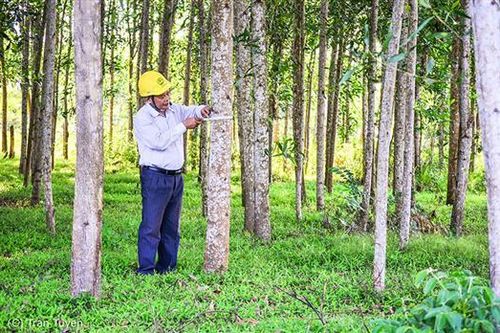 Xã Trung Sơn về đích nông thôn mới