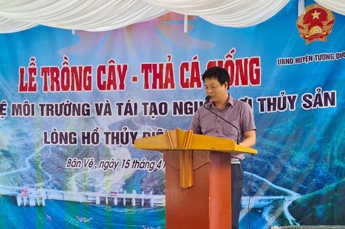 Trồng cây, thả cá bảo vệ môi trường và tái tạo nguồn lợi thủy sản lòng hồ Thủy điện Bản Vẽ