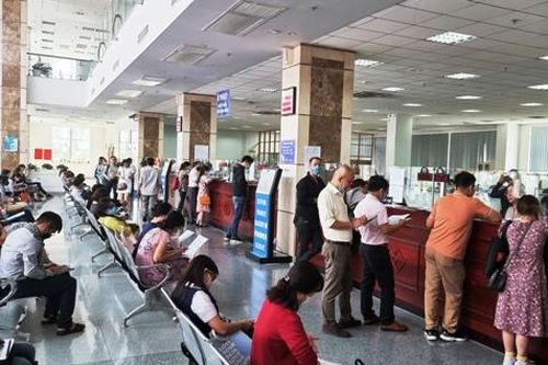 Cục Thuế TP. Hồ Chí Minh kiến nghị xử lý 4.219 tỷ đồng vi phạm về thuế