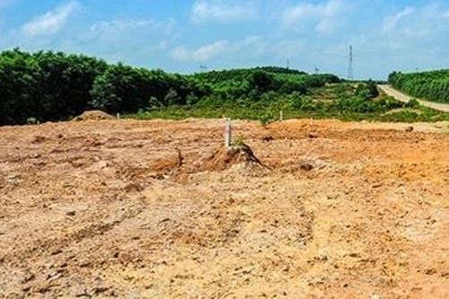 Xã tự phân lô đất trồng rừng thành đất nền