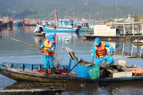 Ô nhiễm tại âu thuyền Thọ Quang: Giám đốc Sở TN-MT Đà Nẵng nói gì?