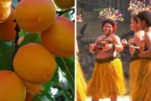 Fiji là quốc gia duy nhất không có bệnh nhân mắc ung thư: 3 lý do khiến người dân không mắc ung thư rất đáng học hỏi