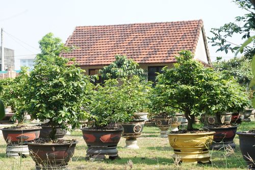 Thuê 'đất vàng' tại TP Huế: Đến hạn trả mặt bằng, doanh nghiệp vẫn 'chây ỳ'…