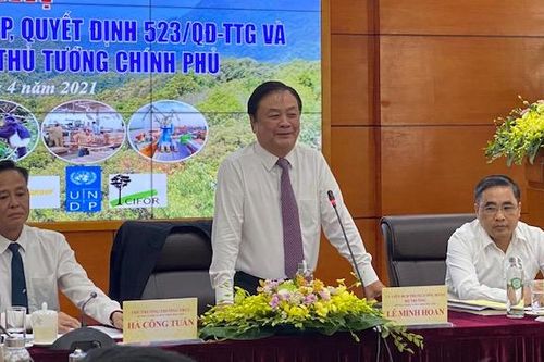 Trồng 1 tỷ cây xanh: Ưu tiên công tác chọn giống