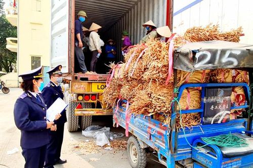 Hiệu quả từ cải cách thủ tục hành chính ở Hải quan Quảng Ninh