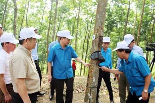 Chú trọng chăm lo đời sống người lao động