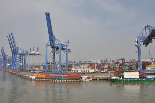 Giải 'cơn khát' vỏ container rỗng