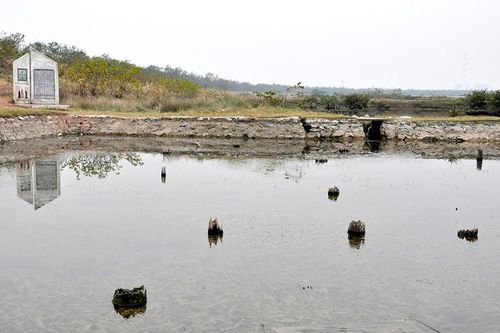 Cấp phép thăm dò khảo cổ tại một số bãi cọc ở Quảng Ninh