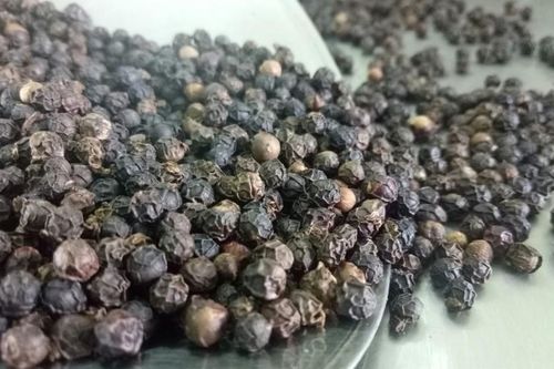 Giá tiêu hôm nay 23/4: Giá tiêu thế giới giảm sốc, cao nhất 71.000đ/kg, lo ngại khi giới đầu cơ bán tháo