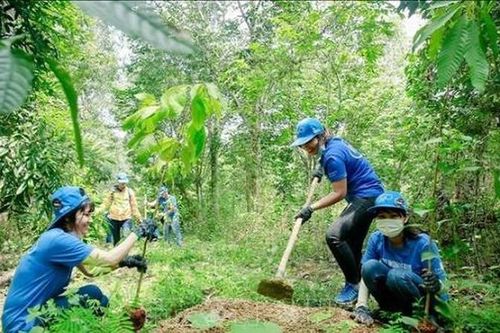 Trồng 1 tỷ cây xanh phải thực chất, tránh phô trương, lãng phí