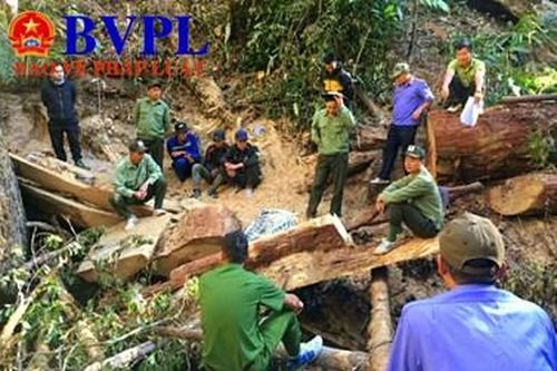 Thi hành kỷ luật hàng loạt cán bộ sai phạm ở Đắk Lắk