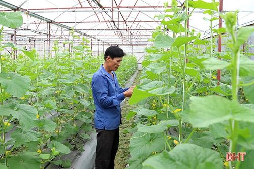 2 năm, người dân Hà Tĩnh 'hấp thụ' gần 500 tỷ đồng chính sách hỗ trợ xây dựng nông thôn mới