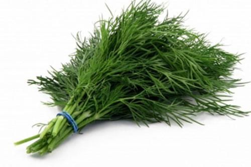 Mỗi ngày ăn một nắm rau rẻ bèo này điều kỳ diệu sẽ xảy ra