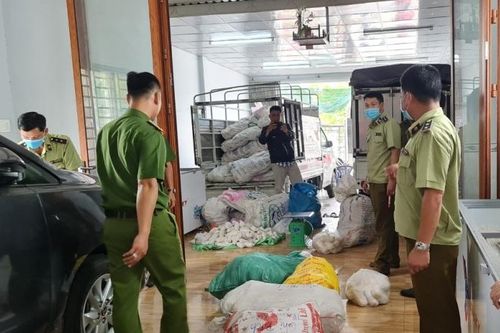 An Giang: Phát hiện hơn 3 tấn thực phẩm chay không rõ nguồn gốc