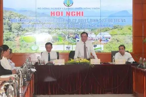 Đổi mới mô hình tăng trưởng rừng