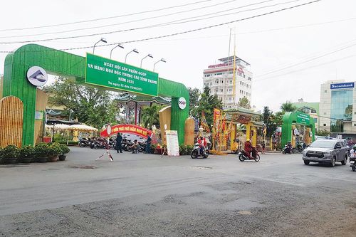 Thỏa sức trải nghiệm đặc sản tại Ngày hội OCOP